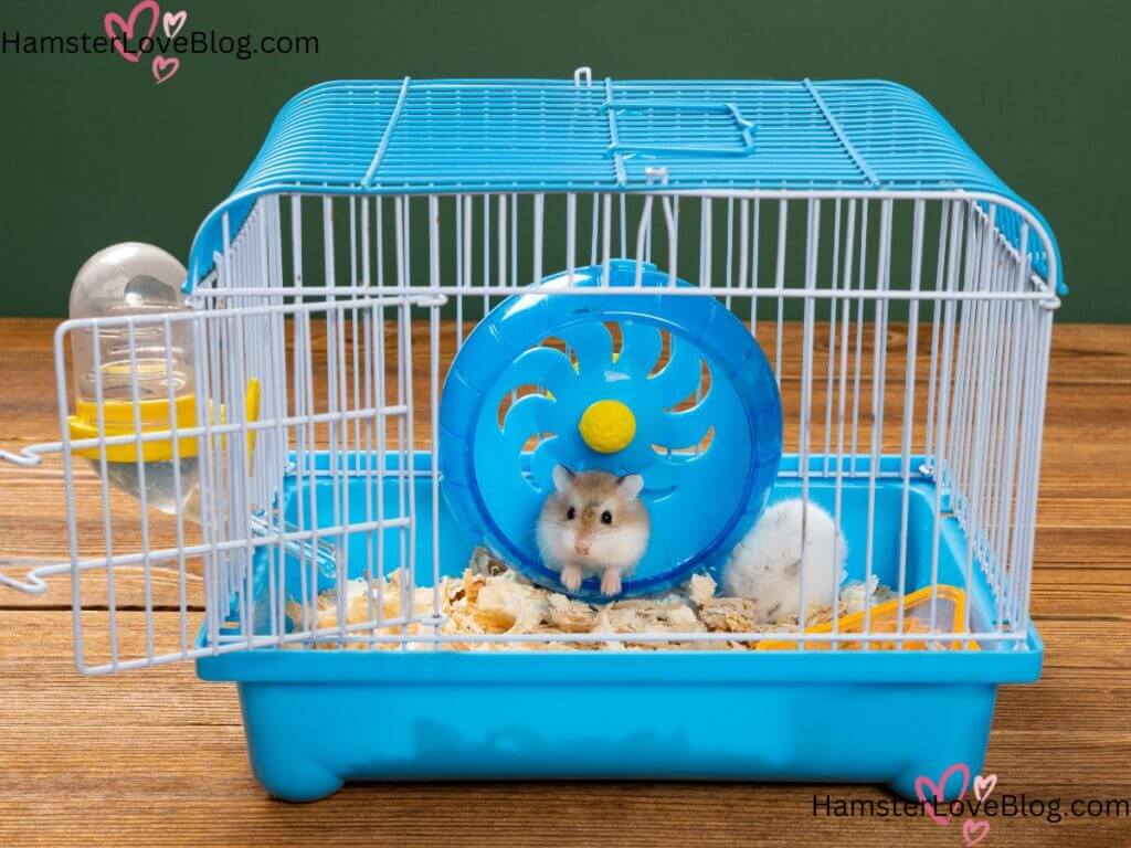 recommended cage size for hamster